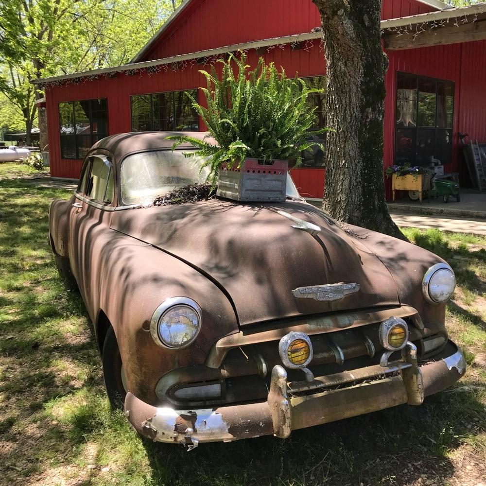 Meet your Posher, Mertie